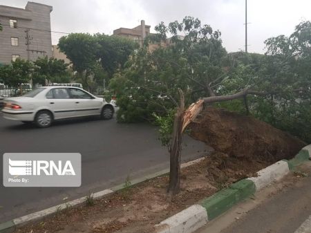 اخبار,اخبار اجتماعی,تندباد در تهران