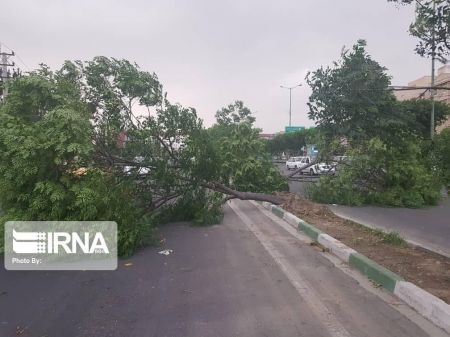 اخبار,اخبار اجتماعی,تندباد در تهران