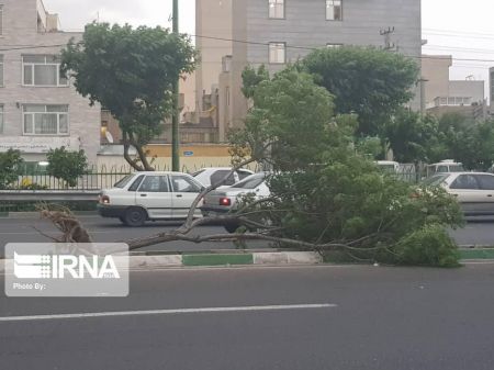 اخبار,اخبار اجتماعی,تندباد در تهران