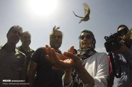 اخبار,انعکاس,رهاسازی گونه های جانوری در پارک ملی خجیر