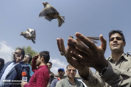 اخبار,انعکاس,رهاسازی گونه های جانوری در پارک ملی خجیر