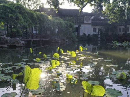 اخبار,اخبار گوناگون,زیباترین باغ چینی