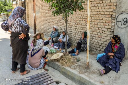 اخبار,انعکاس,نشاء برنج در گرگان