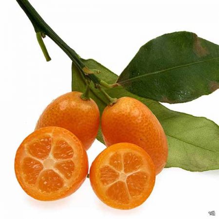 اخبار,اخبار گوناگون,میوه‌های عجیب و هیجان انگیز آسیا