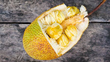 اخبار,اخبار گوناگون,میوه‌های عجیب و هیجان انگیز آسیا