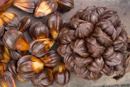 اخبار,اخبار گوناگون,میوه‌های عجیب و هیجان انگیز آسیا