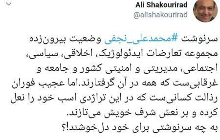 اخبارسیاسی ,خبرهای سیاسی ,محمدعلی نجفی اخبارسیاسی ,خبرهای سیاسی ,محمدعلی نجفی