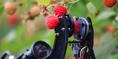 اخبار علمی,خبرهای علمی , ربات اخبار علمی ,خبرهای علمی, ربات