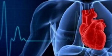 اخبار پزشکی ,خبرهای پزشکی ,سلولهای عضلانی قلبی اخبار پزشکی ,خبرهای پزشکی,سلولهای عضلانی قلبی