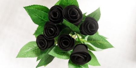 اخبار علمی,خبرهای علمی ,تصفیه آب اخبار علمی ,خبرهای علمی,تصفیه آب