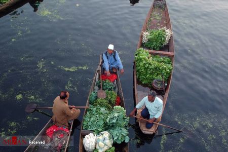  اخبارگوناگون,خبرهای گوناگون ,سبزی فروش