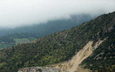  اخبار اجتماعی ,خبرهای اجتماعی, جنگل‌های مازندران