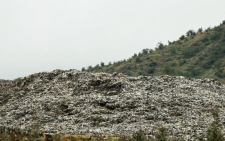 اخباراجتماعی ,خبرهای اجتماعی , جنگلهای مازندران اخبار اجتماعی ,خبرهای اجتماعی, جنگلهای مازندران