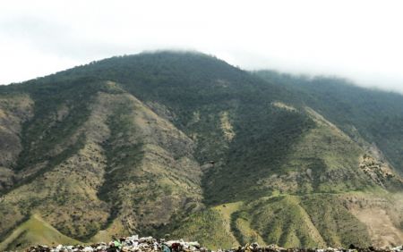 اخباراجتماعی ,خبرهای اجتماعی , جنگلهای مازندران اخبار اجتماعی ,خبرهای اجتماعی, جنگلهای مازندران