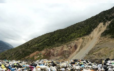  اخبار اجتماعی ,خبرهای اجتماعی, جنگل‌های مازندران