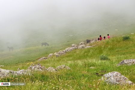  اخبارگوناگون,خبرهای گوناگون ,شمال ایران