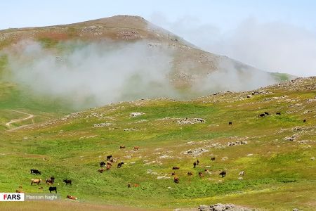  اخبارگوناگون,خبرهای گوناگون ,شمال ایران