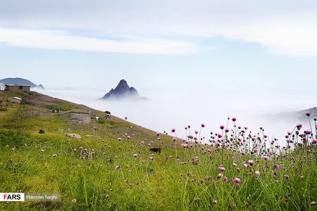  اخبارگوناگون,خبرهای گوناگون ,شمال ایران