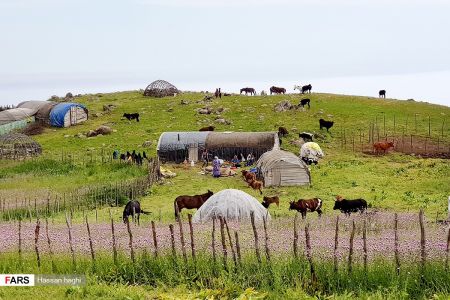  اخبارگوناگون,خبرهای گوناگون ,شمال ایران