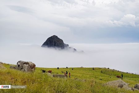  اخبارگوناگون,خبرهای گوناگون ,شمال ایران