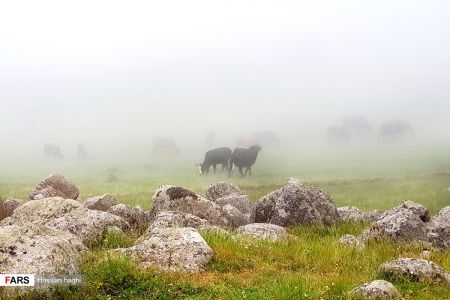  اخبارگوناگون,خبرهای گوناگون ,شمال ایران