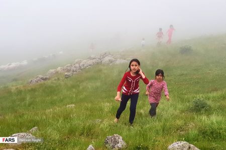  اخبارگوناگون,خبرهای گوناگون ,شمال ایران