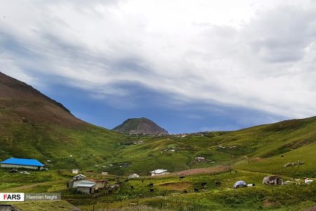  اخبارگوناگون,خبرهای گوناگون ,شمال ایران