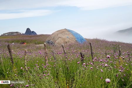  اخبارگوناگون,خبرهای گوناگون ,شمال ایران