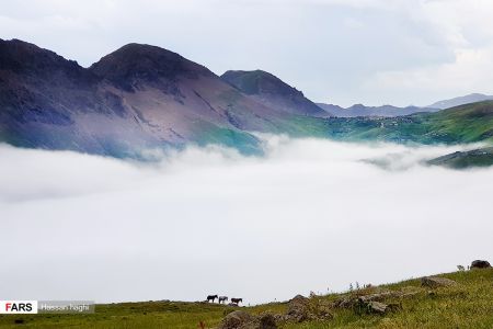  اخبارگوناگون,خبرهای گوناگون ,شمال ایران