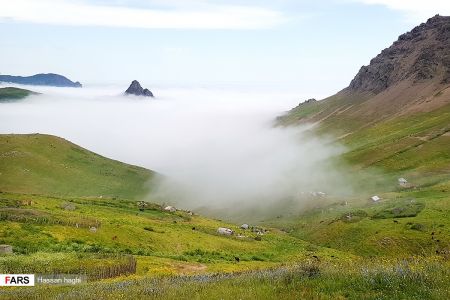  اخبارگوناگون,خبرهای گوناگون ,شمال ایران