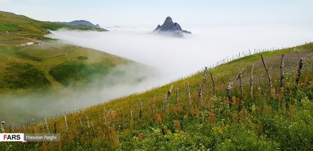  اخبارگوناگون,خبرهای گوناگون ,شمال ایران