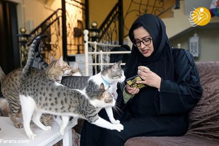 اخبارگوناگون,خبرهای گوناگون , پناهگاهی برای گربه ها اخبارگوناگون,خبرهای گوناگون , پناهگاهی برای گربه ها