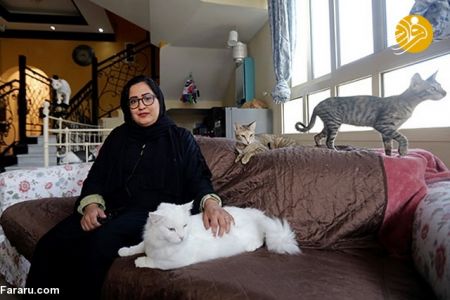 اخبارگوناگون,خبرهای گوناگون , پناهگاهی برای گربه ها اخبارگوناگون,خبرهای گوناگون , پناهگاهی برای گربه ها