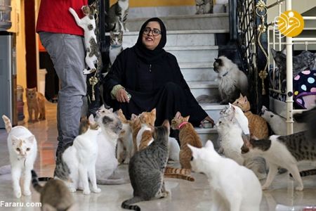 اخبارگوناگون,خبرهای گوناگون , پناهگاهی برای گربه ها اخبارگوناگون,خبرهای گوناگون , پناهگاهی برای گربه ها