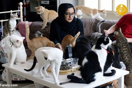 اخبارگوناگون,خبرهای گوناگون , پناهگاهی برای گربه ها اخبارگوناگون,خبرهای گوناگون , پناهگاهی برای گربه ها