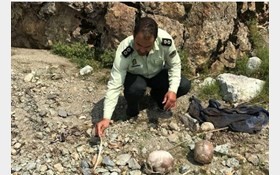 اخبارحوادث,خبرهای حوادث ,حوادث روز اخبار حوادث,خبرهای حوادث ,حوادث روز