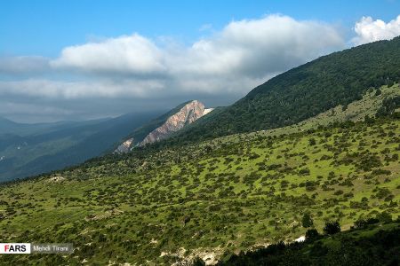 اخبار,انعکاس,جنگل های هیرکانی