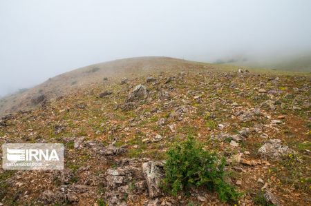 اخبار,انعکاس,روستای مازیچال