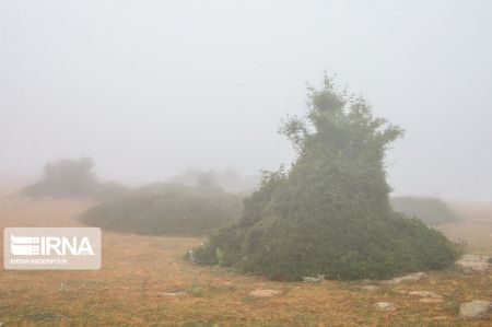 اخبار,انعکاس,روستای مازیچال