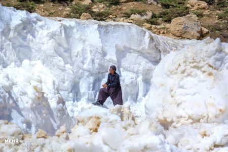 اخبار,عکس خبری,جدال با برف در دومین ماه تابستان