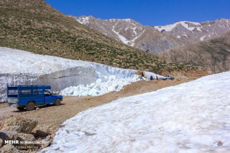 اخبار,عکس خبری,جدال با برف در دومین ماه تابستان