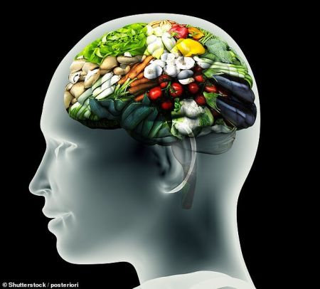 اخبار علمی,خبرهای علمی , کنترل اشتها اخبار علمی ,خبرهای علمی, کنترل اشتها