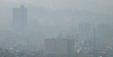 اخبار پزشکی ,خبرهای پزشکی ,بهره هوشی جنین اخبار پزشکی ,خبرهای پزشکی,بهره هوشی جنین