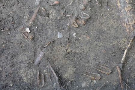 اخبارگوناگون,خبرهای گوناگون ,زنجیر اعدام 500 ساله اخبارگوناگون,خبرهای گوناگون ,زنجیر اعدام 500 ساله