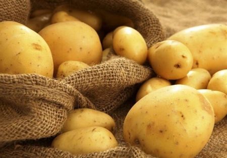 اخبار اقتصادی ,خبرهای اقتصادی ,سیبزمینی اخبار اقتصادی ,خبرهای اقتصادی ,سیبزمینی