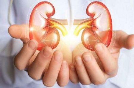 اخبار پزشکی ,خبرهای پزشکی , سنگ کلیه اخبار پزشکی ,خبرهای پزشکی, سنگ کلیه