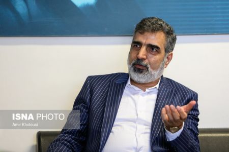 اخبارسیاسی ,خبرهای سیاسی ,سخنگوی سازمان انرژی اتمی اخبارسیاسی ,خبرهای سیاسی ,سخنگوی سازمان انرژی اتمی
