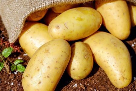 اخبار اقتصادی ,خبرهای اقتصادی ,سیب زمینی اخبار اقتصادی ,خبرهای اقتصادی ,سیب زمینی