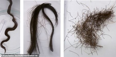 اخبارگوناگون,خبرهای گوناگون ,کشف موهای سه هزار ساله اخبارگوناگون,خبرهای گوناگون ,کشف موهای سه هزار ساله