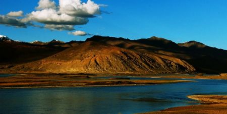 اخبار علمی,خبرهای علمی ,دندان آسیای اخبار علمی ,خبرهای علمی,دندان آسیای